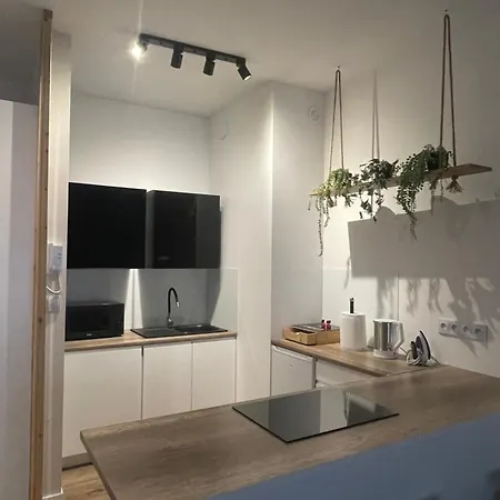 Apartament Angel Lasowice *